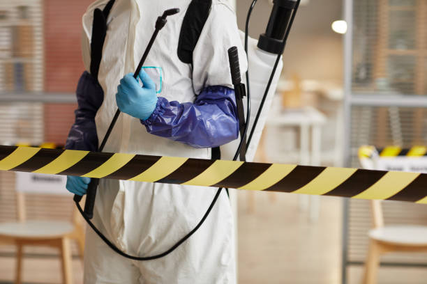 Professional Sewage Cleanup technician working in Roopville, GA